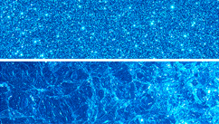 Королевский бриллиант